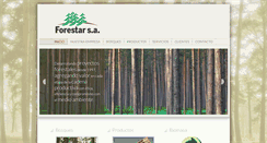 Desktop Screenshot of forestarsa.com